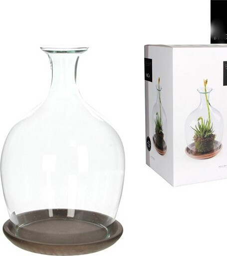 Duży klosz szklany butla z ceramiczną podstawką