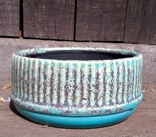 Misa TOSAR niebieska