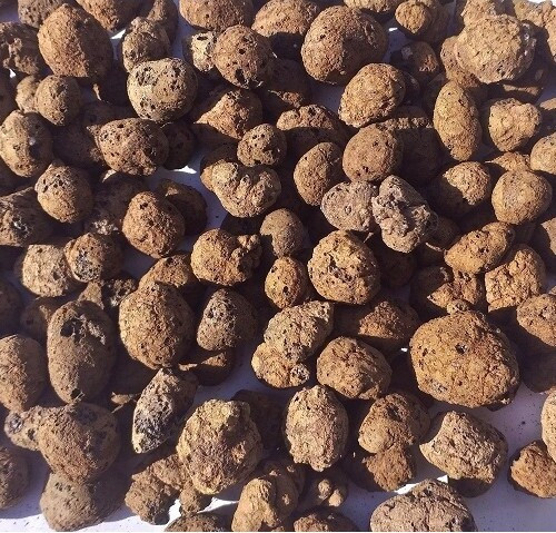 Keramzyt 8-16 mm 50L