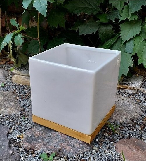 Doniczka Bambo kwadratowa