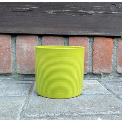 Walec prążkowany Palm - limonka