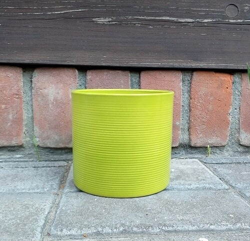 Walec prążkowany Palm - limonka