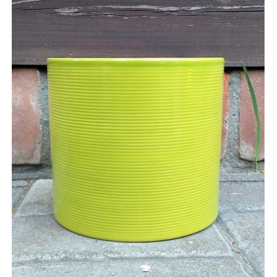 Walec prążkowany Palm - limonka