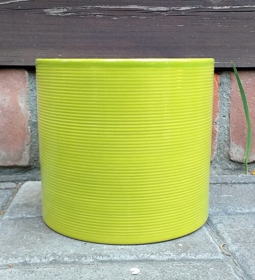 Walec prążkowany Palm - limonka