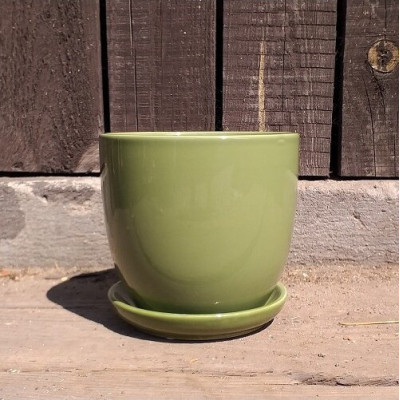 Doniczka klasyczna zielona