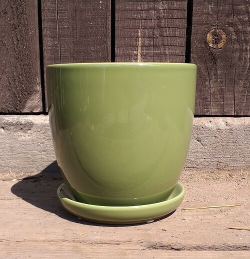 Doniczka klasyczna zielona