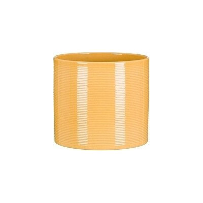 Walec prążkowany żółta Zabaione