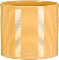 Walec prążkowany żółta Zabaione