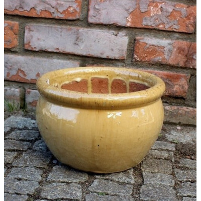 Misa Baryłka musztarda