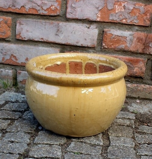 Misa Baryłka musztarda