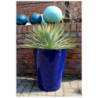 Donica Wazon Stożek niebieski
