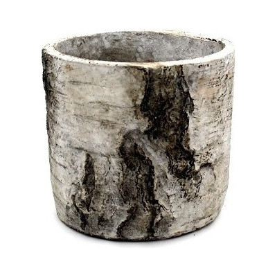 Doniczka Brzoza walec