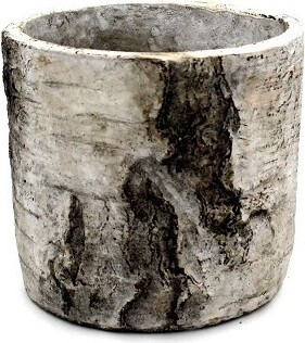 Doniczka Brzoza walec