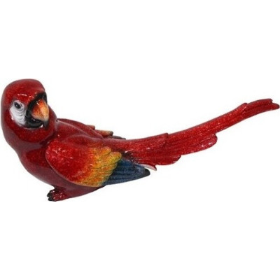 Papuga czerwona duża