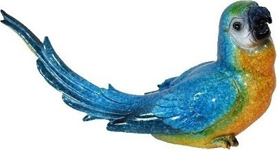 Papuga niebieska średnia