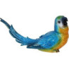 Papuga niebieska średnia