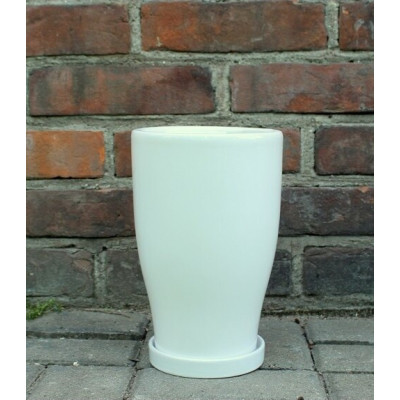 Donica Junia lejkowata biała