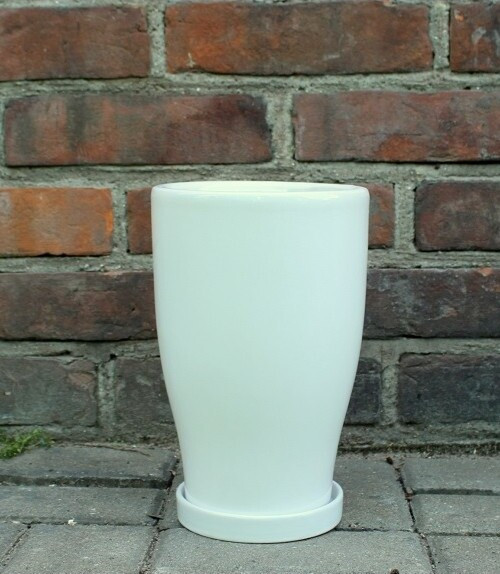 Donica Junia lejkowata biała