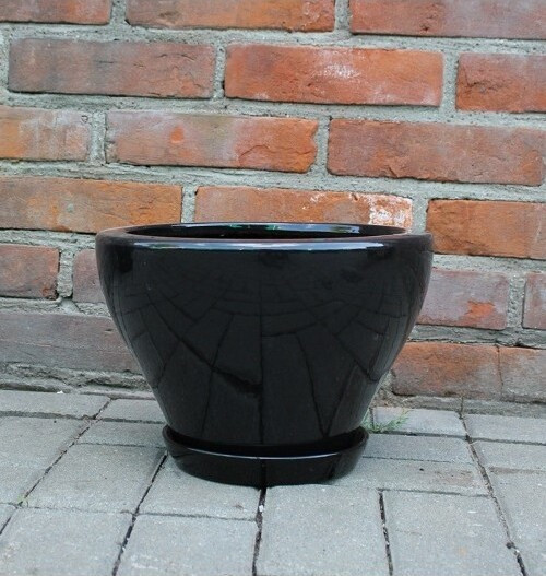 Misa Junia lejkowata czarna