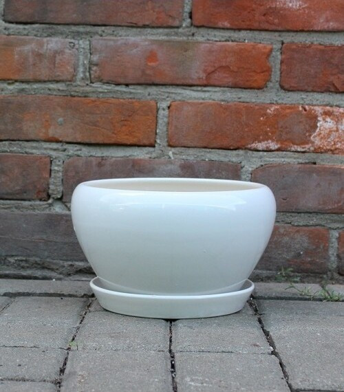 Misa Junia pękata biała