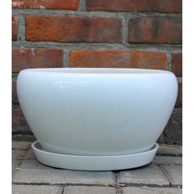 Misa Junia pękata biała