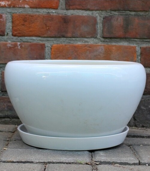 Misa Junia pękata biała