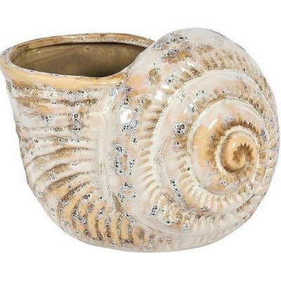 Osłonka Lill muszla