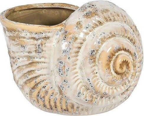 Osłonka Lill muszla