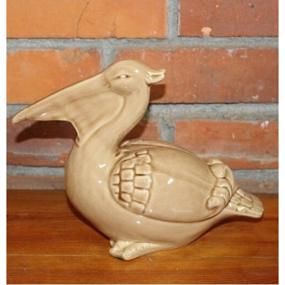 Pelikan pomarańczowy