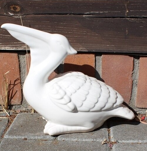 Pelikan biały z podniesioną głową