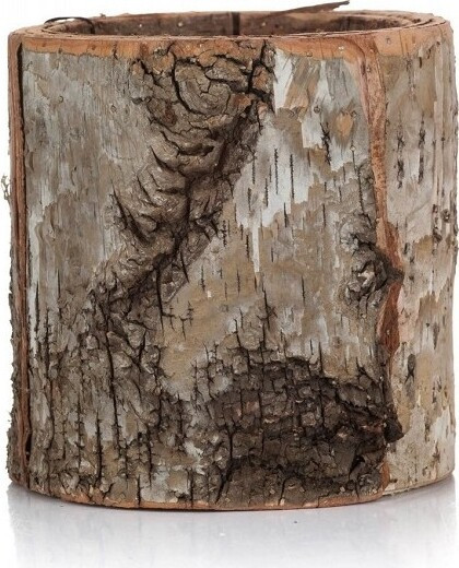 Doniczka FOREST z kory brzozy