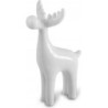Renifer biały