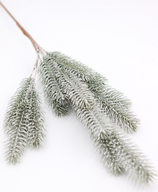 Gałązka świerkowa ośnieżona