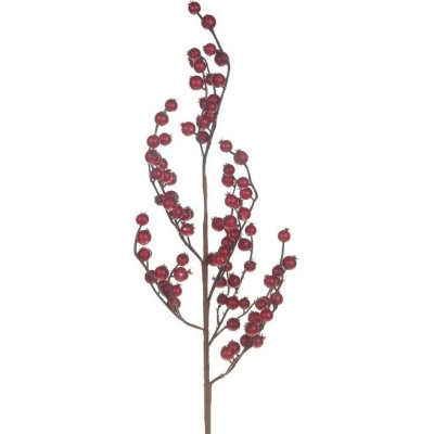 Gałązka Głóg czerwony