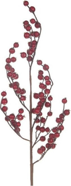 Gałązka Głóg czerwony