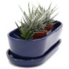 Doniczka kaktusiarka owalna granatowa