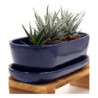 Doniczka kaktusiarka owalna granatowa
