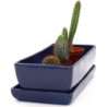 Doniczka kaktusiarka prostokątna granatowa