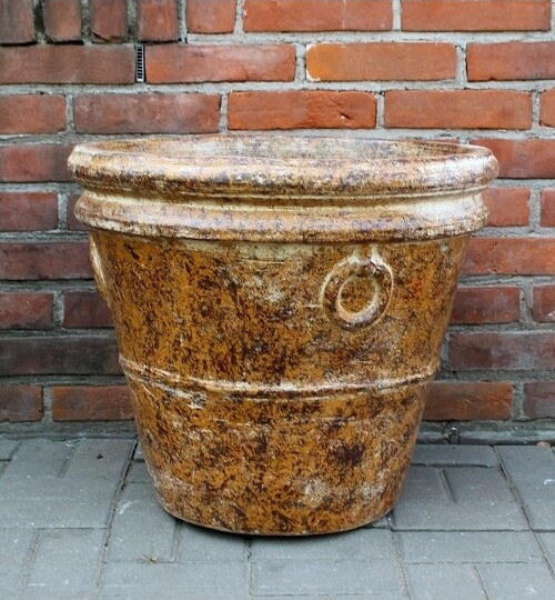 donica Italia musztarda