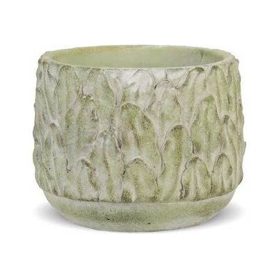 Doniczka Flebodium zielona