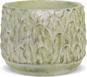 Doniczka Flebodium zielona