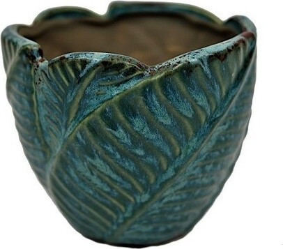 Doniczka Hosta turkus