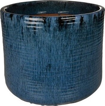 Donica Gilia walec niebieska