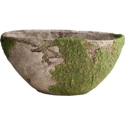 Doniczka łódka omszona