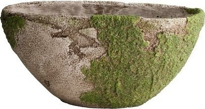 Doniczka łódka omszona