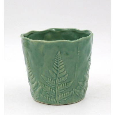 Doniczka Fern zielona