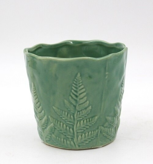 Doniczka Fern zielona