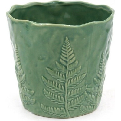 Doniczka Fern zielona
