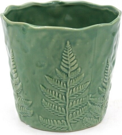 Doniczka Fern zielona