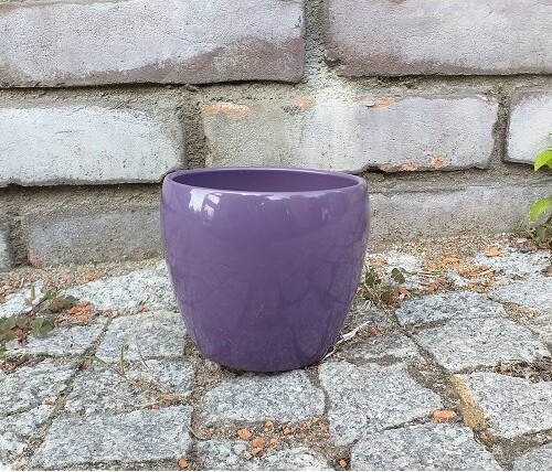 Osłonka Lidy fiolet